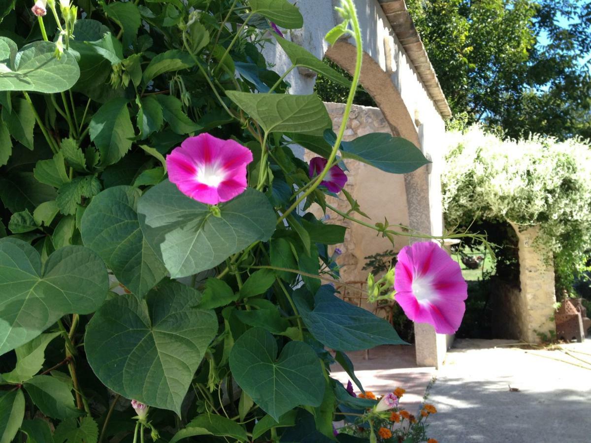 Le Mas De La Jardine Velleron Esterno foto